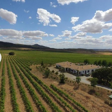 Finca El Romeral Alpera Ngoại thất bức ảnh