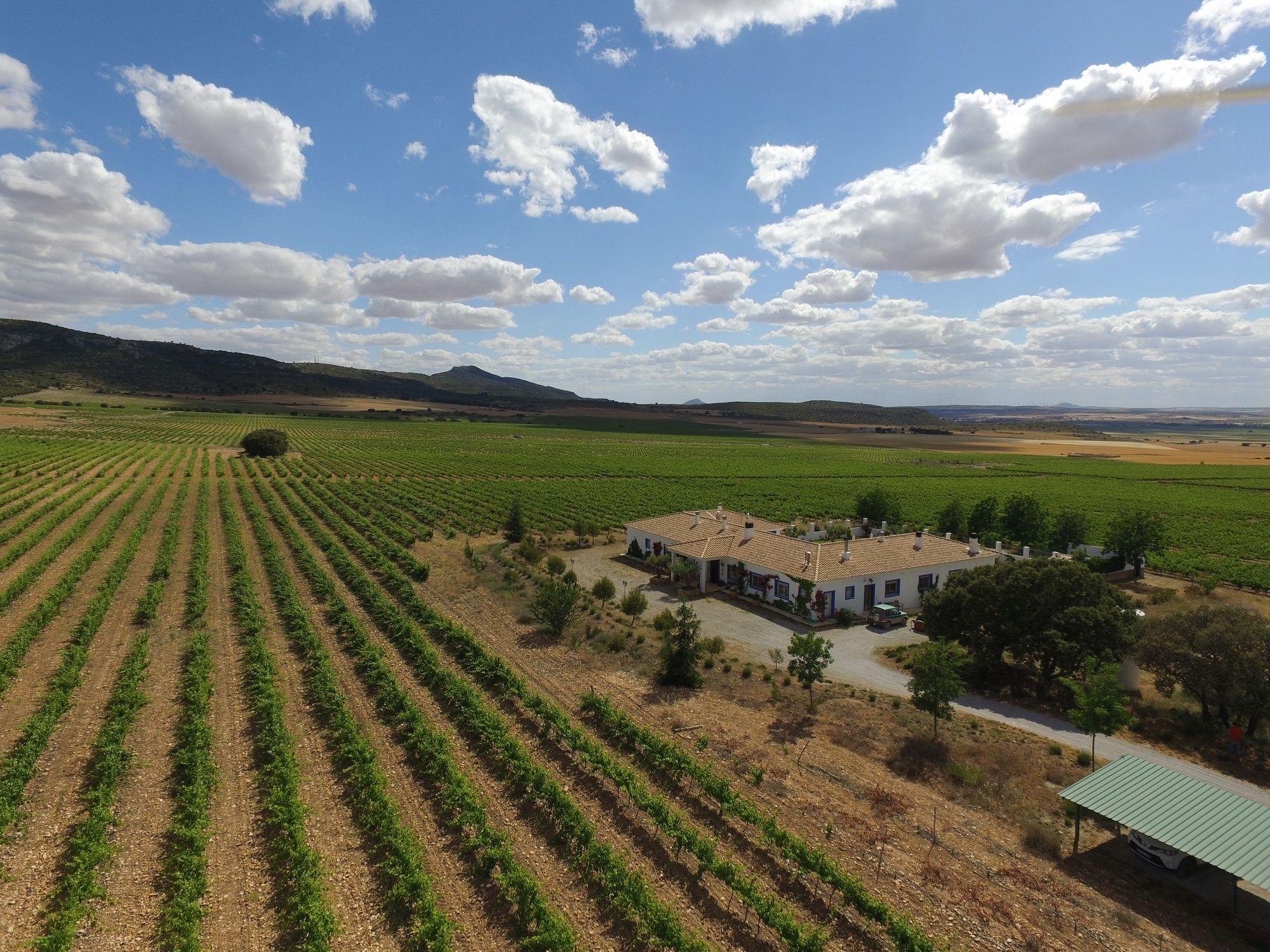 Finca El Romeral Alpera Ngoại thất bức ảnh