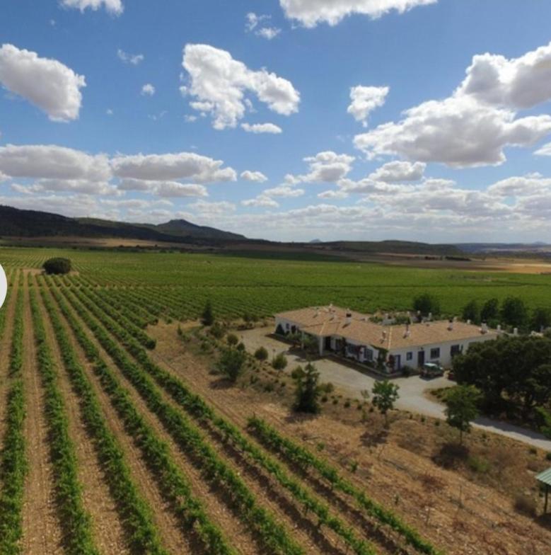 Finca El Romeral Alpera Ngoại thất bức ảnh