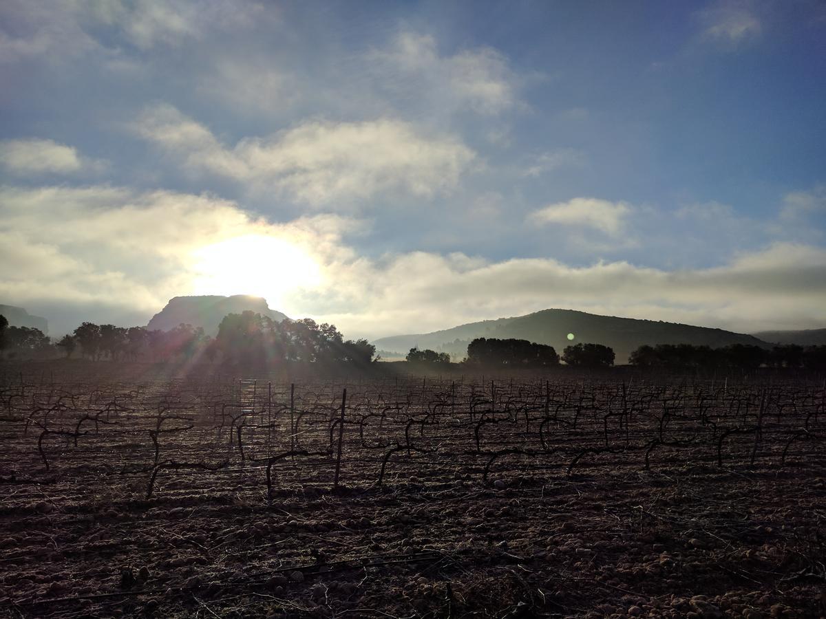 Finca El Romeral Alpera Ngoại thất bức ảnh
