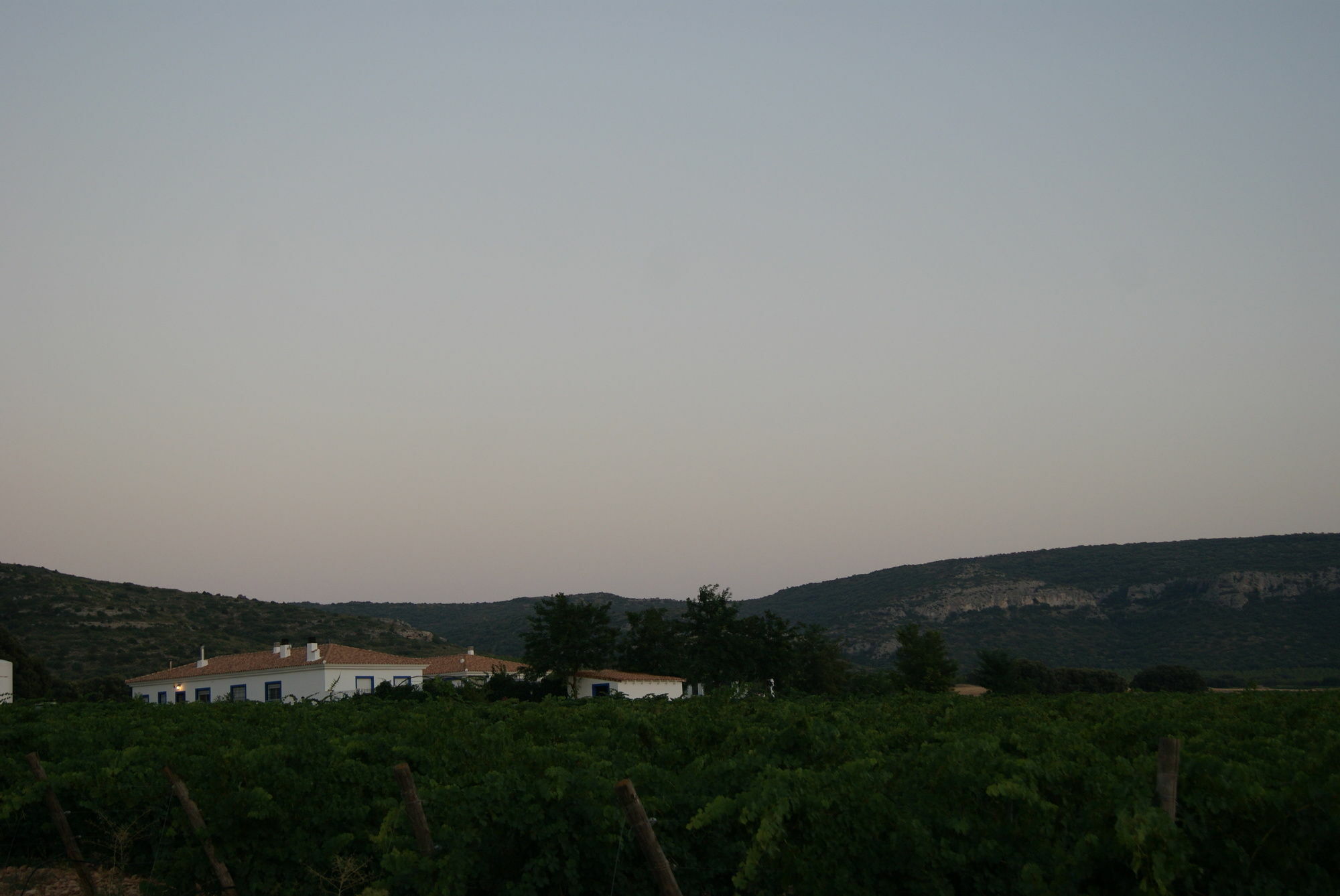 Finca El Romeral Alpera Ngoại thất bức ảnh