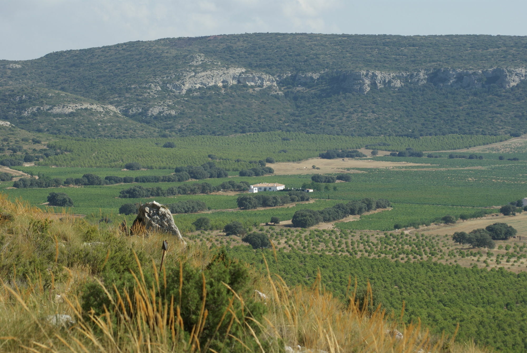 Finca El Romeral Alpera Ngoại thất bức ảnh