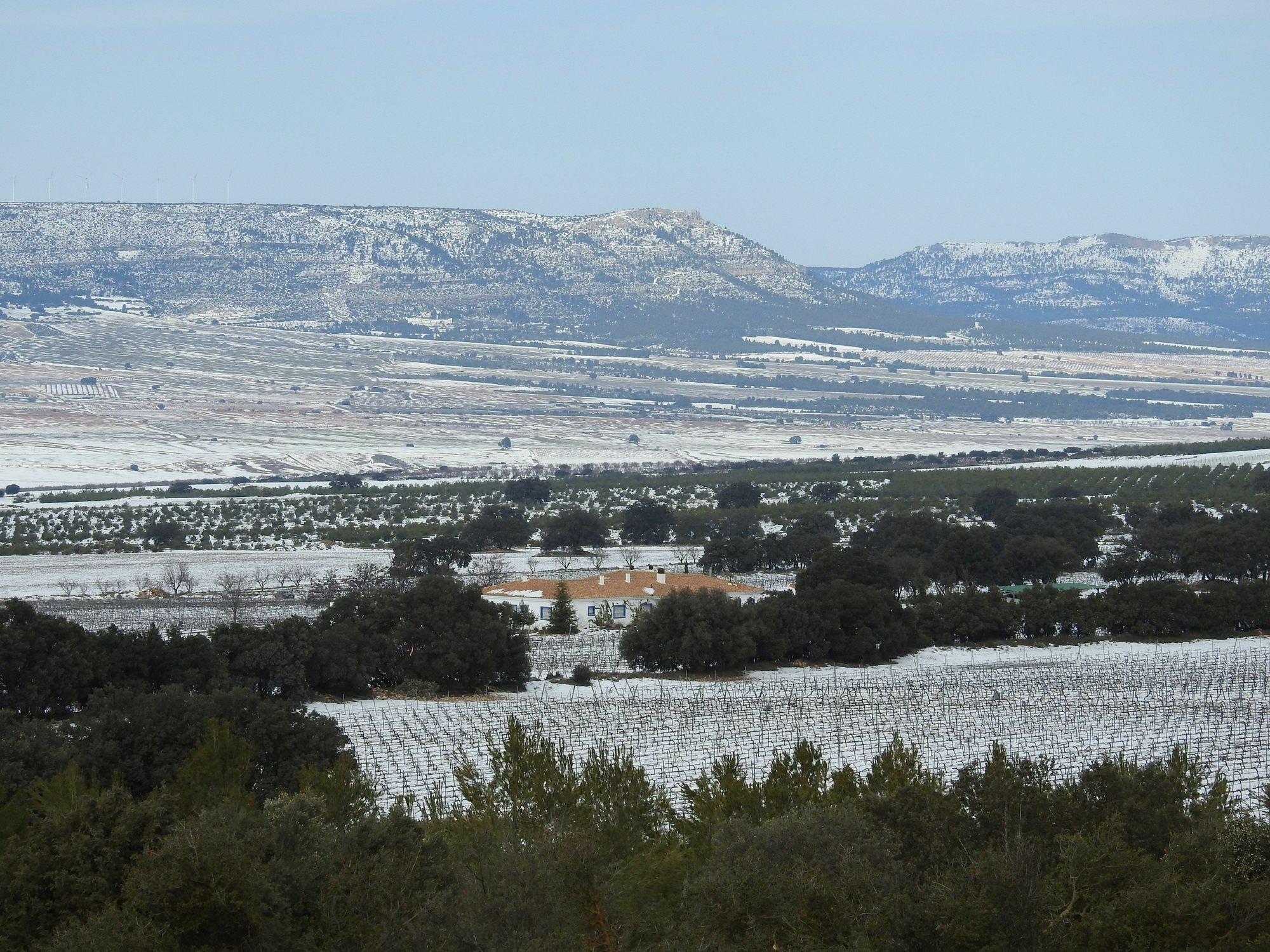 Finca El Romeral Alpera Ngoại thất bức ảnh