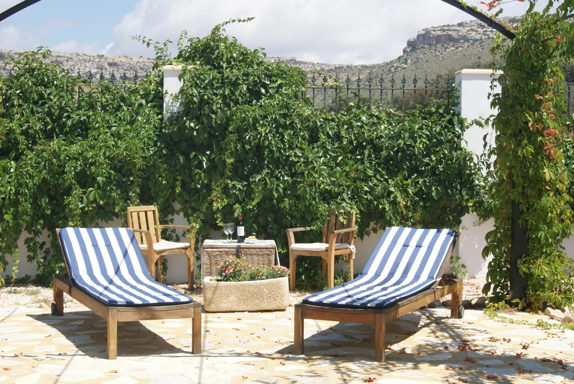 Finca El Romeral Alpera Ngoại thất bức ảnh